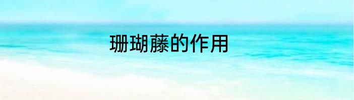 珊瑚藤的作用