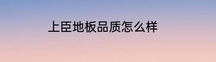 上臣地板品质怎么样