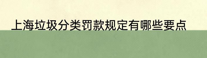 上海垃圾分类罚款规定有哪些要点