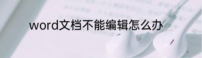 word文档不能编辑怎么办