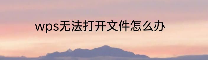wps无法打开文件怎么办