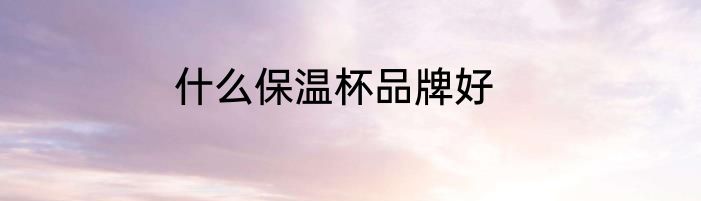 什么保温杯品牌好