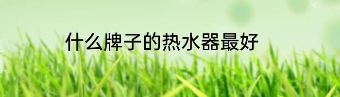 什么牌子的热水器最好