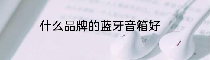 什么品牌的蓝牙音箱好