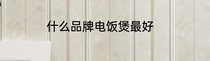 什么品牌电饭煲最好