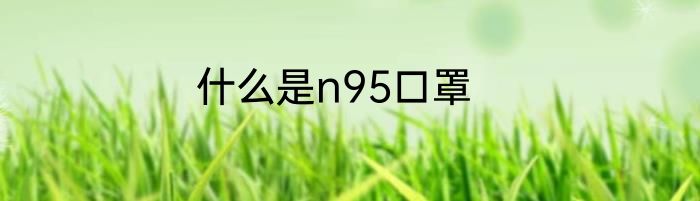 什么是n95口罩