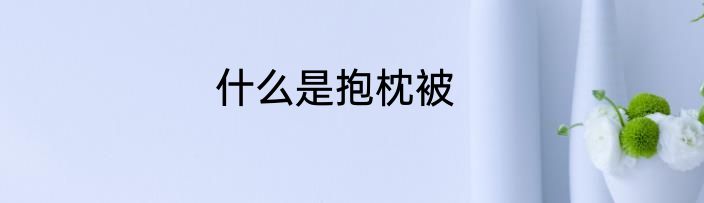 什么是抱枕被
