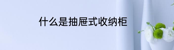 什么是抽屉式收纳柜