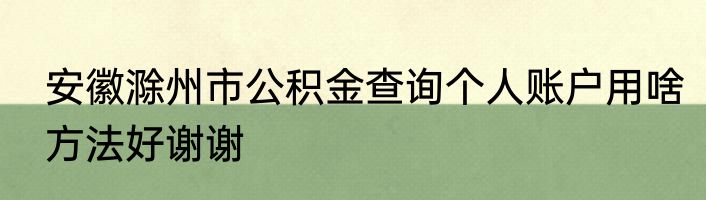 安徽滁州市公积金查询个人账户用啥方法好谢谢