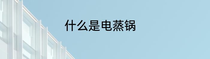 什么是电蒸锅