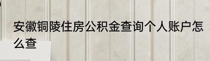 安徽铜陵住房公积金查询个人账户怎么查