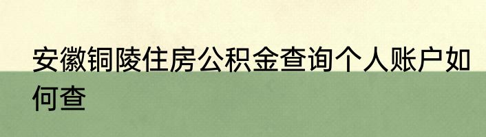 安徽铜陵住房公积金查询个人账户如何查