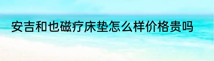 安吉和也磁疗床垫怎么样价格贵吗