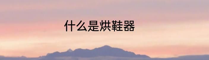 什么是烘鞋器