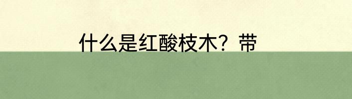 什么是红酸枝木？带