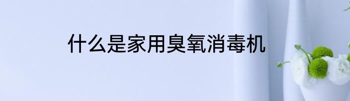 什么是家用臭氧消毒机