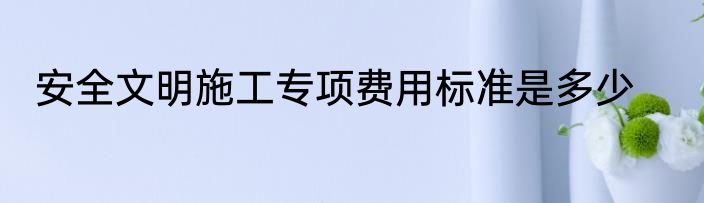 安全文明施工专项费用标准是多少