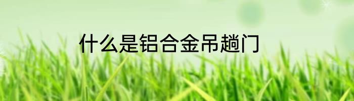 什么是铝合金吊趟门