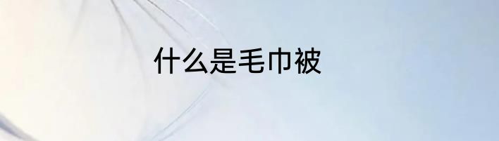 什么是毛巾被