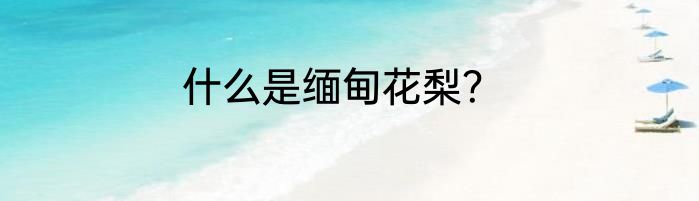 什么是缅甸花梨？