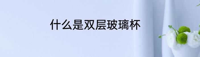 什么是双层玻璃杯