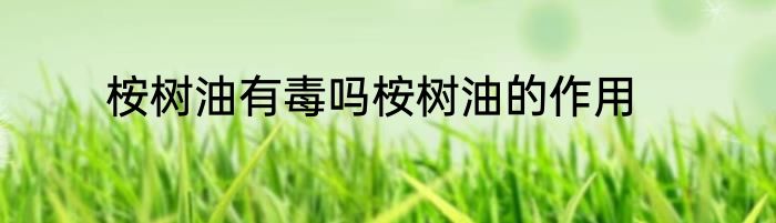 桉树油有毒吗桉树油的作用