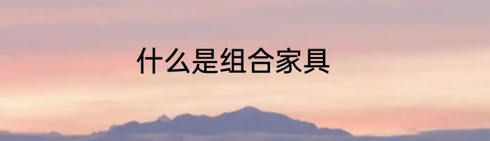 什么是组合家具