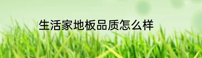 生活家地板品质怎么样