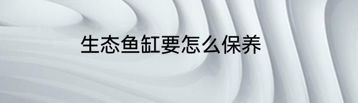 生态鱼缸要怎么保养