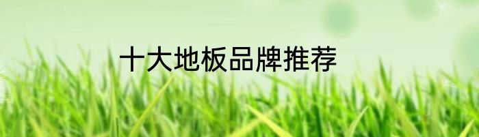 十大地板品牌推荐