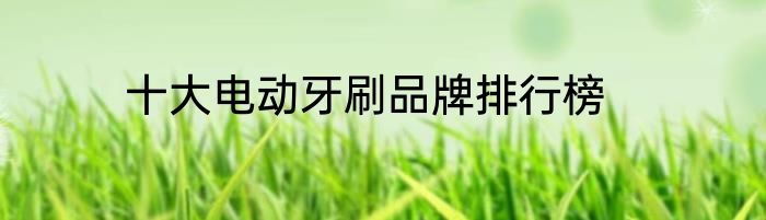 十大电动牙刷品牌排行榜