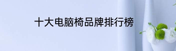 十大电脑椅品牌排行榜