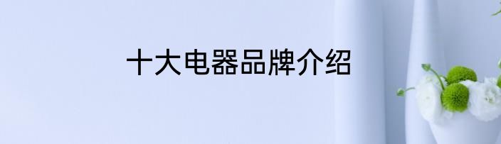 十大电器品牌介绍