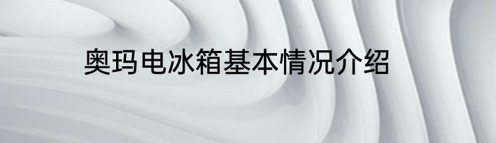 奥玛电冰箱基本情况介绍