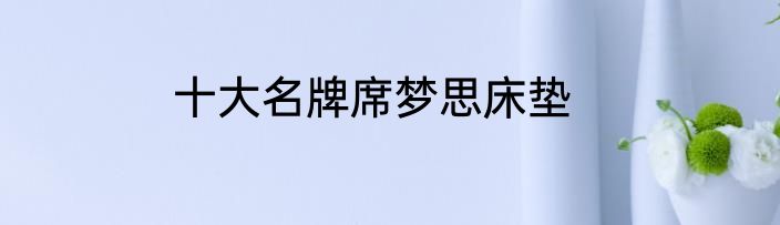 十大名牌席梦思床垫