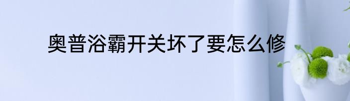 奥普浴霸开关坏了要怎么修
