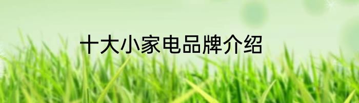 十大小家电品牌介绍