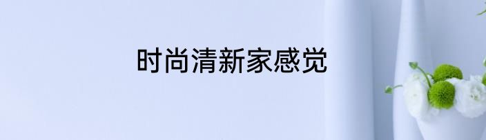 时尚清新家感觉