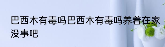 巴西木有毒吗巴西木有毒吗养着在家没事吧