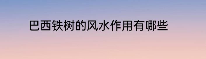 巴西铁树的风水作用有哪些