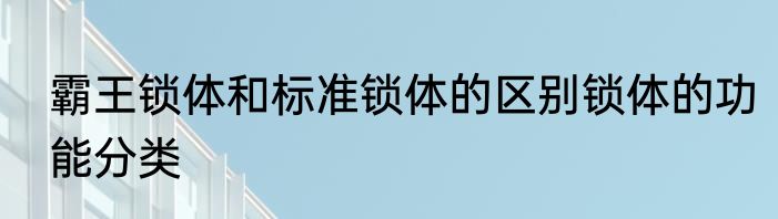霸王锁体和标准锁体的区别锁体的功能分类