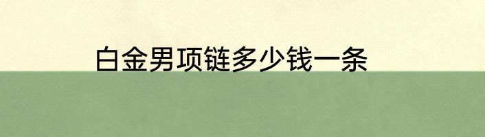 白金男项链多少钱一条