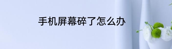手机屏幕碎了怎么办
