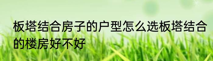 板塔结合房子的户型怎么选板塔结合的楼房好不好