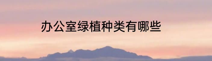 办公室绿植种类有哪些