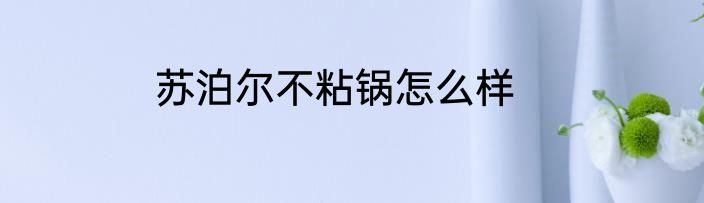 苏泊尔不粘锅怎么样