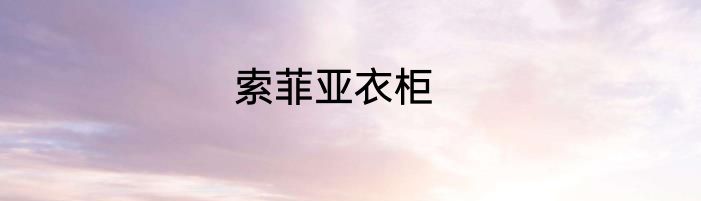 索菲亚衣柜
