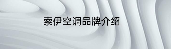 索伊空调品牌介绍