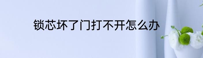 锁芯坏了门打不开怎么办