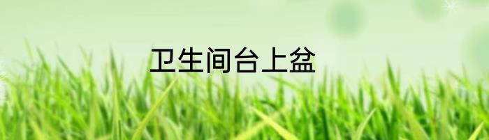 卫生间台上盆